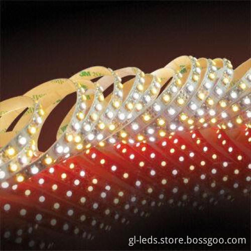 5/36W LED Rope Lights with CE, RoHS and UL Marks, 12/24V DC Working Voltage